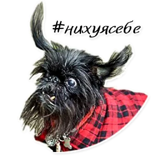 Стикер СТАЯ - 3