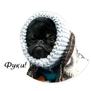 Стикер СТАЯ - 9