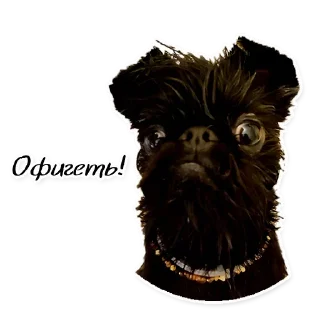 Стикер СТАЯ - 8