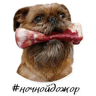 Стикер СТАЯ - 4