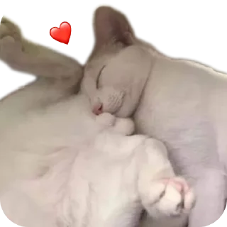 Sticker Интернет гадости и не только - 8