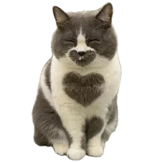 Sticker Интернет гадости и не только - 3