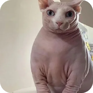 Sticker Интернет гадости и не только - 9