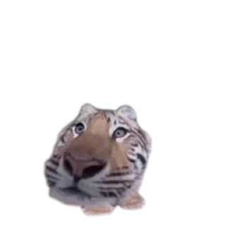 Sticker Интернет гадости и не только - 4