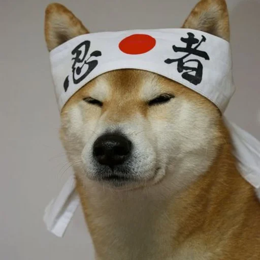 Sticker Shiba inu! @FriedNoodle - 9