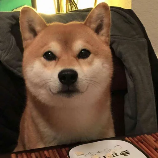 Sticker Shiba inu! @FriedNoodle - 8