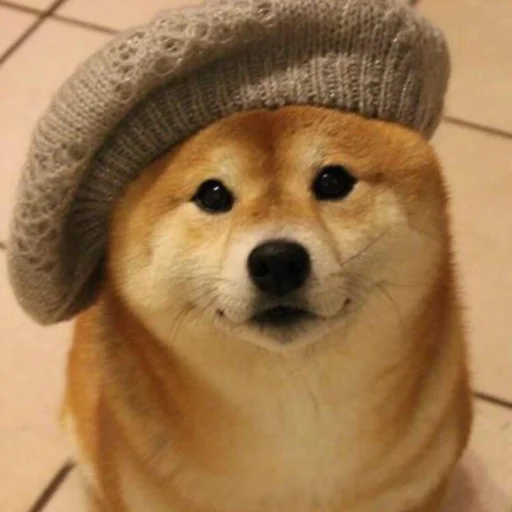 Sticker Shiba inu! @FriedNoodle - 3