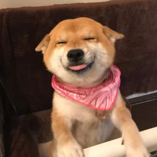 Sticker Shiba inu! @FriedNoodle - 0