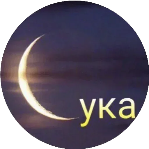 Стикер IoLRsVE_by_achestickbot - 1