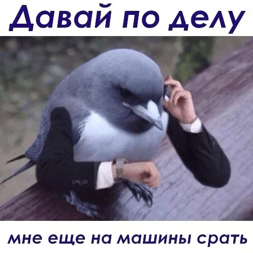 Стикер IoLRsVE_by_achestickbot - 1