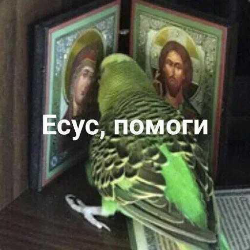 Стикер IoLRsVE_by_achestickbot - 1