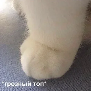 Стикер Больше стиков тут: @stikery4 - 10