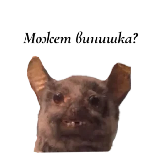 Стикер ✨ by @stqrapp - 0