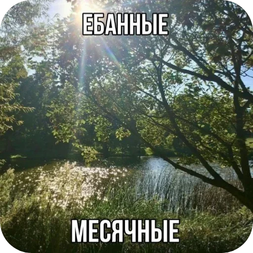 Стикер Iozhiki_top_3363401_by_DayStikBot - 1