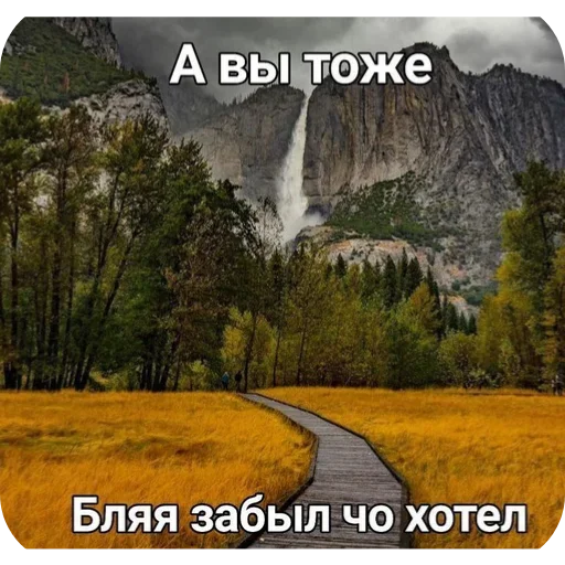 Йожики топ • @DayStikBot - 