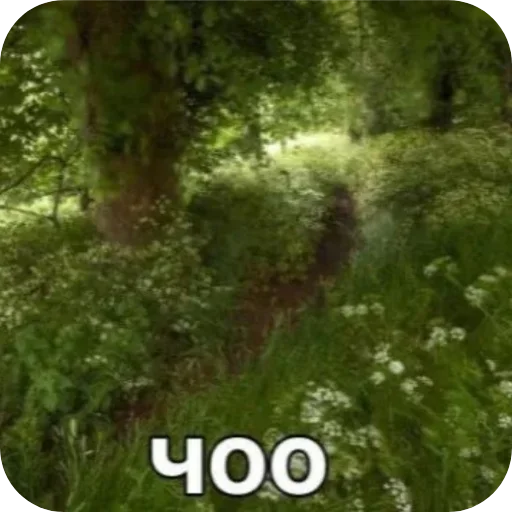 Стикер Iozhiki_top_3363401_by_DayStikBot - 1