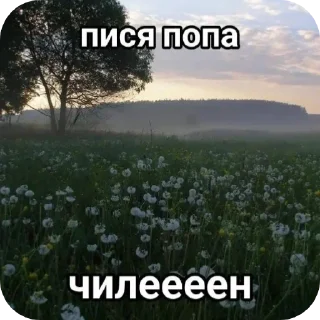 Sticker Йожики топ • @DayStikBot - 5