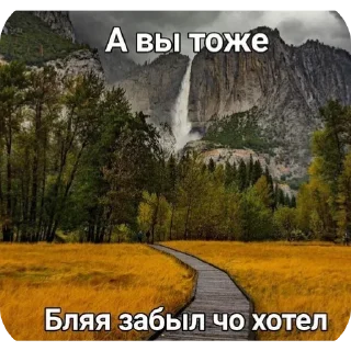 Sticker Йожики топ • @DayStikBot - 3