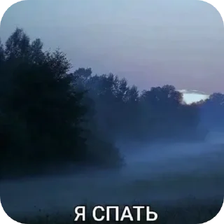 Sticker Йожики топ • @DayStikBot - 8