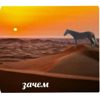 Sticker Йожики топ • @DayStikBot - 0