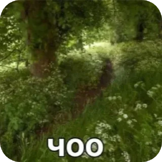 Sticker Йожики топ • @DayStikBot - 2