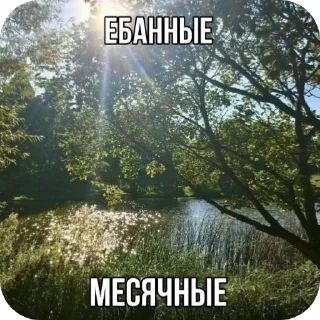 Sticker Йожики топ • @DayStikBot - 7