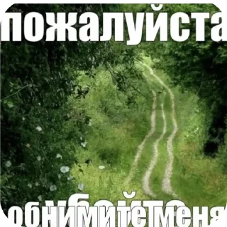 Sticker Йожики топ • @DayStikBot - 4