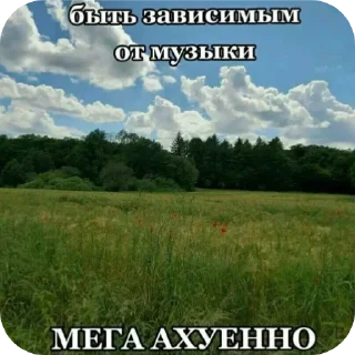 Sticker Йожики топ • @DayStikBot - 11