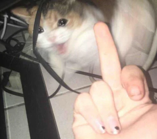 Стикер IpSadCat - 1