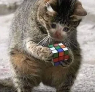 Sticker IpSadCat - 3