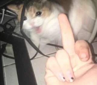 Sticker IpSadCat - 8