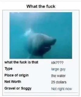 Sticker Tr @Femoji - 6