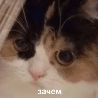 Sticker FavStick - 0