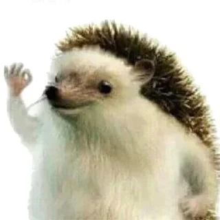 Sticker FavStick - 10