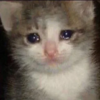 Sticker FavStick - 4