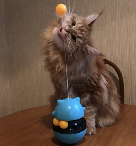 Стикер IriskaTheEbobo - 10