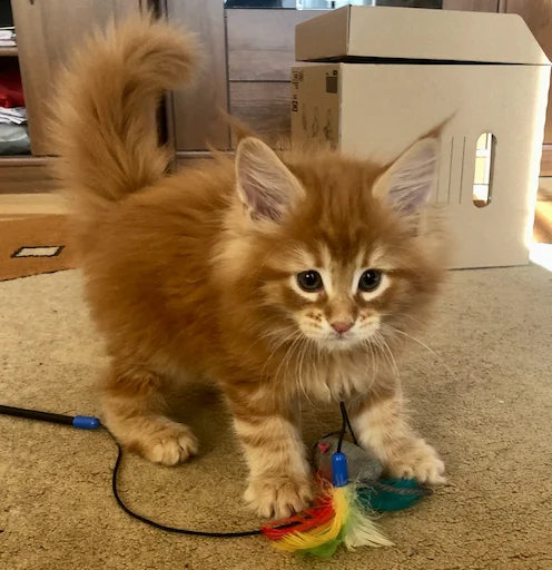 Стикер IriskaTheEbobo - 9