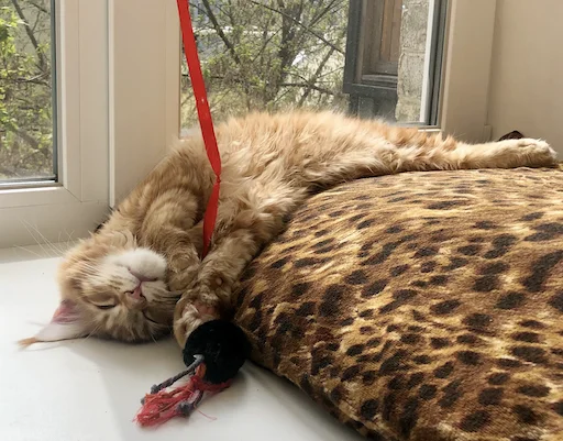 Стикер IriskaTheEbobo - 8