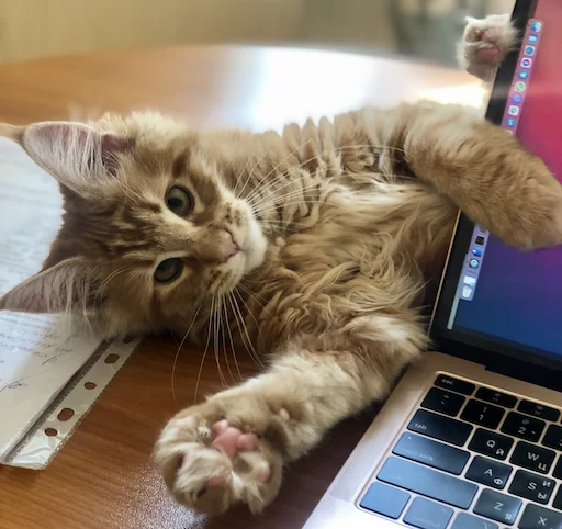 Стикер IriskaTheEbobo - 1