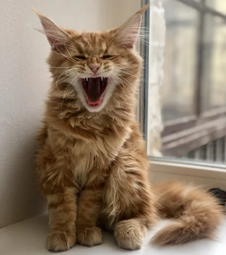 Стикер IriskaTheEbobo - 0