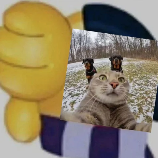 Sticker Iriski23228 - 1