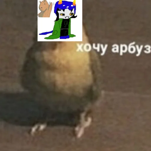 Sticker Iriski23228 - 1