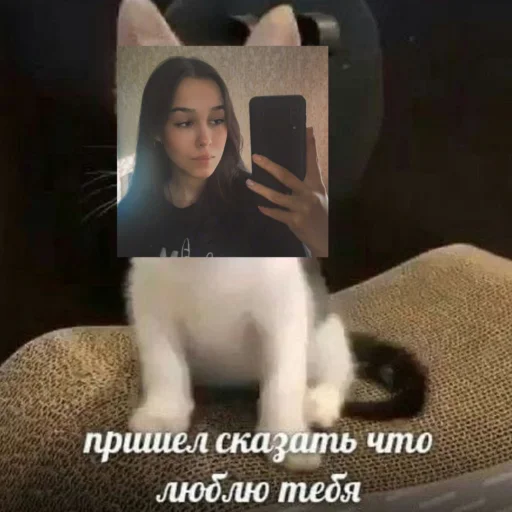 Sticker Iriski23228 - 1