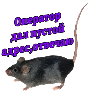 Стикер Наш Телеграмм - 2