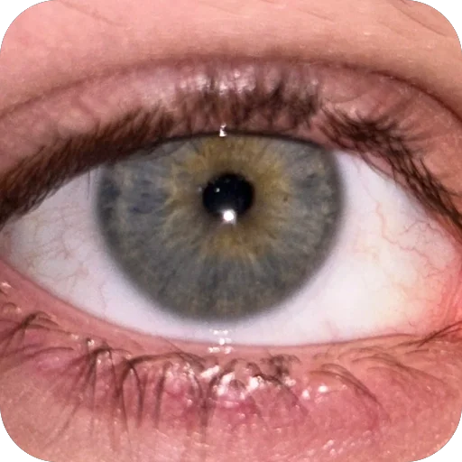 irregular vibes by @chikikto - 