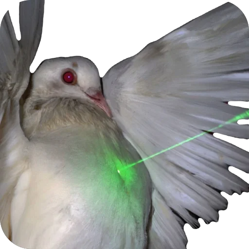 Sticker IrregularVibesByChikikto - 1