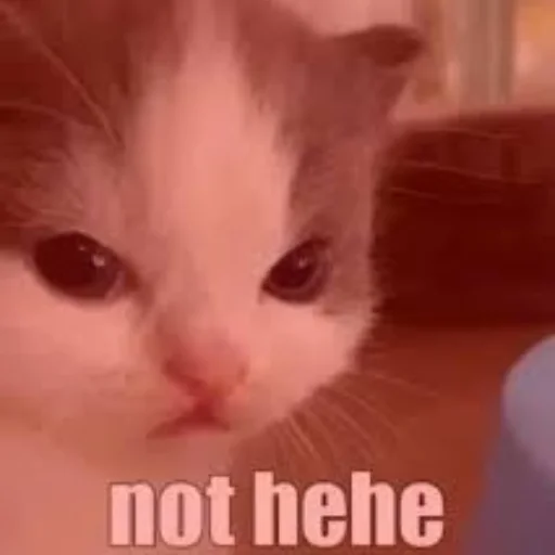 Sticker IsItHehe - 1