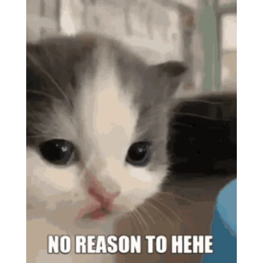 Sticker IsItHehe - 1