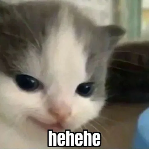 Sticker IsItHehe - 1