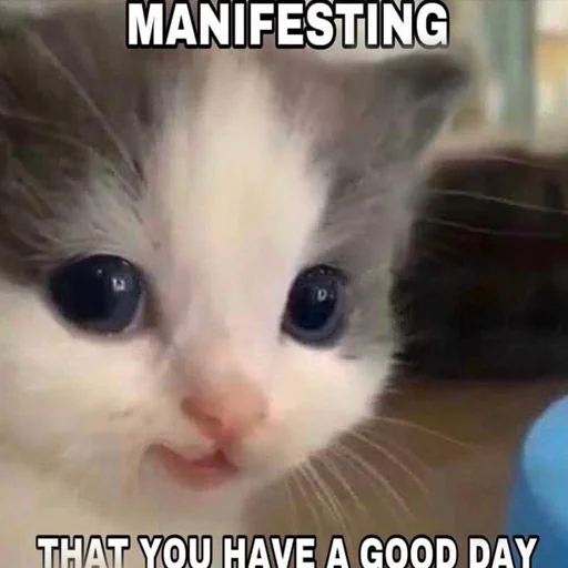 Стикер IsItHehe - 1